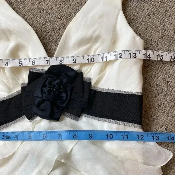 New Bcbgmaxazria Womens Fairy White Black Silk Chiffon Maxi Dress Empire Waist 0 - Picture 3 of 12